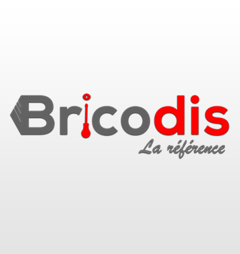 Bricodis