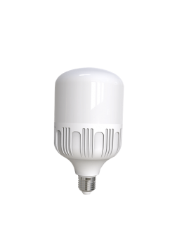 AMPOULE LED OPAQUE E27 30W