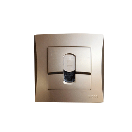 PRISE ENCASTRE INTERNET RJ45 DORE "YAKI" REF: 2449-4G