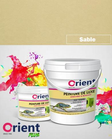 PEINTURE A L'EAU INT/EXT " ORIENT PLUS" 4KG SABLE REF:1030/4