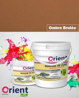 PEINTURE A L'EAU INT/EXT " ORIENT PLUS" 4KG OMBRE BRULEE  REF:1033/4