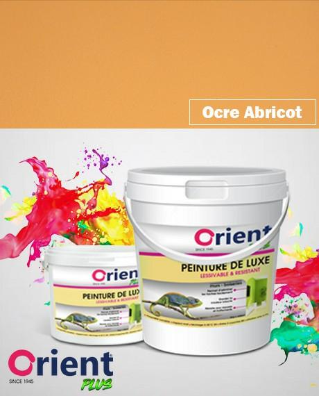 PEINTURE A L'EAU INT/EXT " ORIENT PLUS" 4KG OCRE ABRICOT  REF:1032/4