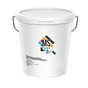 PEINTURE A L'EAU INT/EXT " MS" 20KG BLANC REF:5000/20