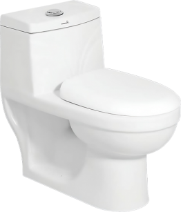 WC MONOBLOC CERAMIQUE 650X650X375MM "INDE" model: 101