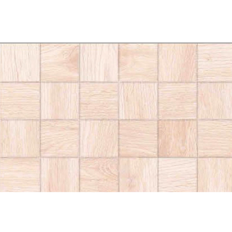 CARREAUX 200X300X6.3MM GLOSSY-PUNCH NOVA- "INDE" REF: 1132-L