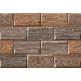 CARREAUX 200X300X6.3MM GLOSSY-PUNCH NOVA-  "INDE" REF: KT-519-D