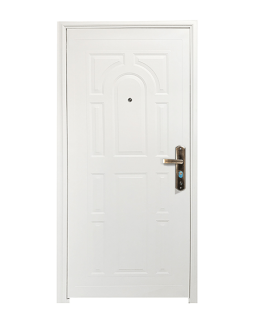 BLOC PORTE COMPLET BLINDE 205*90*5CM REF: SECUS002-L