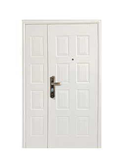 BLOC PORTE COMPLET BLINDE TIERCE 205*120*5CM REF: SECUD005-R