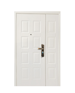 BLOC PORTE COMPLET BLINDE TIERCE 205*120*5CM REF: SECUD005-L