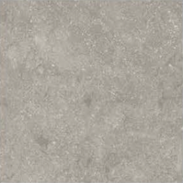 CARREAUX 600X600X20MM  "INDE" REF: FOSSIL GREY LIGHT