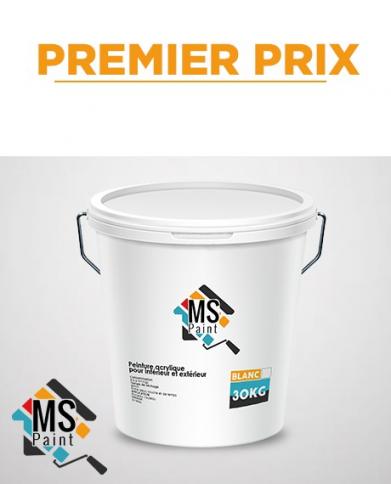 PEINTURE A L'EAU INT/EXT " MS" 30KG BLANC REF:5000/30