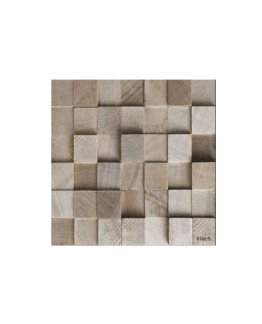 CARREAUX 300X300X7.5MM INJECT MODEL "INDE" REF: 7019