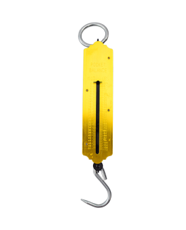 BALANCE PORTABLE A AIGUILLE FORCE 50 KG A-220