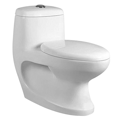 WC MONOBLOC HORIZONTAL "INDE RANIBA" BLANC REF:SANTA