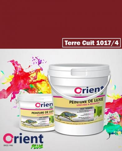 PEINTURE A L'EAU INT/EXT " ORIENT PLUS" 4KG TERRE CUITE REF:1017/4