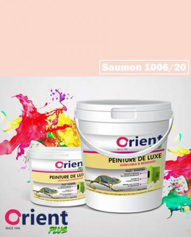 PEINTURE A L'EAU INT/EXT " ORIENT PLUS" 20KG SAUMON REF:1006/20