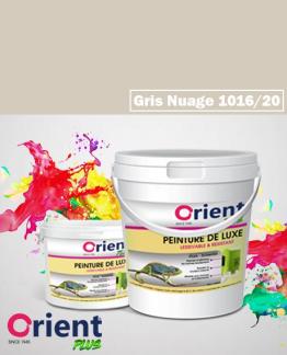 PEINTURE A L'EAU INT/EXT " ORIENT PLUS" 20KG GRIS NUAGE  REF:1016/20