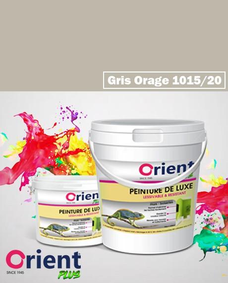 PEINTURE A L'EAU INT/EXT " ORIENT PLUS" 20KG GRIS ORAGE   REF:1015/20