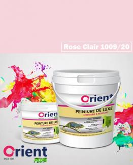 PEINTURE A L'EAU INT/EXT " ORIENT PLUS" 20KG ROSE CLAIR REF:1009/20