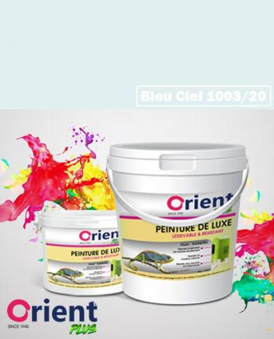 PEINTURE A L'EAU INT/EXT " ORIENT PLUS" 20KG BLEU CIEL REF:1003/20