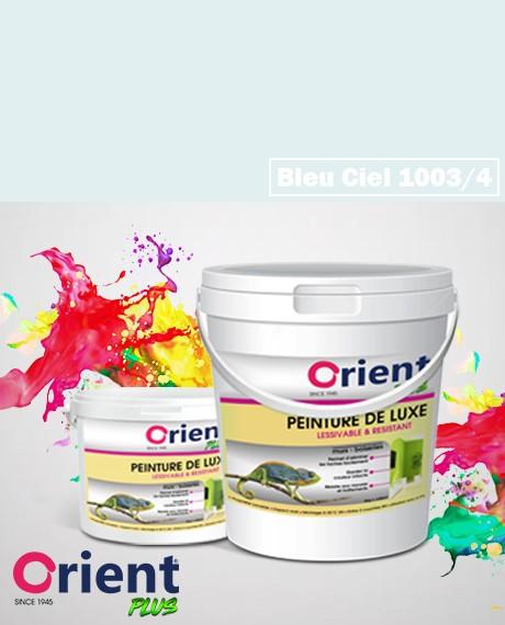 PEINTURE A L'EAU INT/EXT " ORIENT PLUS" 4KG BLEU CIEL REF:1003/4