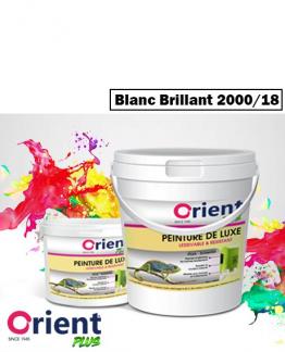 PEINTURE A L'HUILE " ORIENT PLUS" 18KG BLANC BRILLANT REF:2000/18