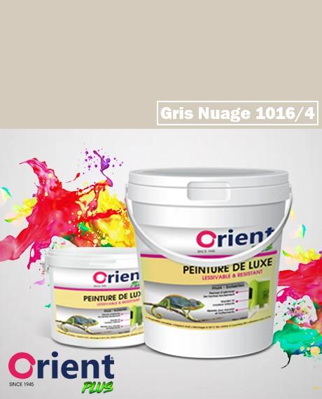 PEINTURE A L'EAU INT/EXT " ORIENT PLUS" 4KG GRIS NUAGE  REF:1016/4